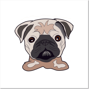 Cute baby pug face Posters and Art